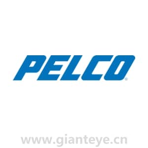 派尔高 Pelco IMEPMB-I Sarix 增强型室内半球摄像机壁挂式支架 None